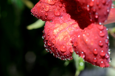 Similar image 8098298