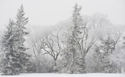 Similar image 8098308