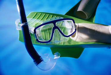 Similar image 8098312