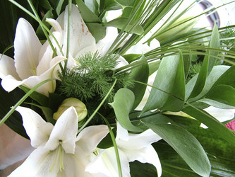 Similar image 8098316