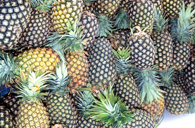 Similar image 8098319