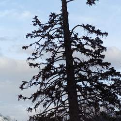 Similar image 8098320