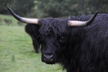 Similar image 8098330