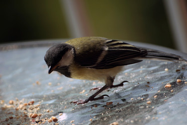 Similar image 8098334