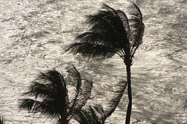 Similar image 8098337