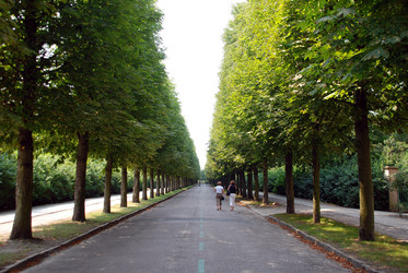 Similar image 8098338