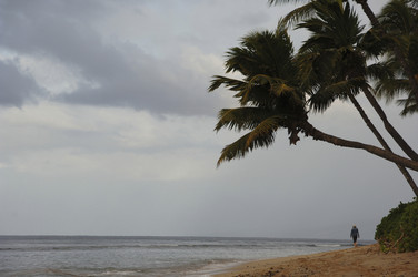 Similar image 8098351