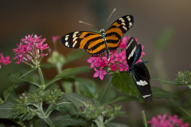 Similar image 8098362