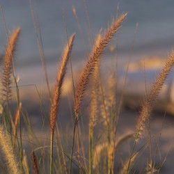 Similar image 8098369