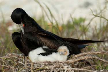 Similar image 8098372