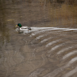 Similar image 8098374