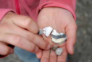 Similar image 8098380