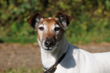 Similar image 8098386