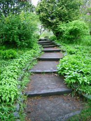 Similar image 8098392