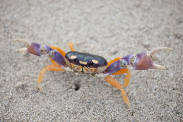 Similar image 8098400