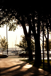 Similar image 8098416