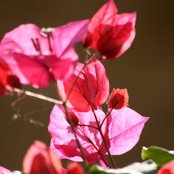 Similar image 8098422