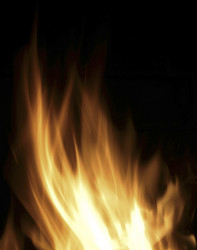 Similar image 8098434