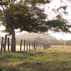 Similar image 8098435