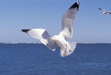 Similar image 8098455