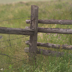 Similar image 8098472