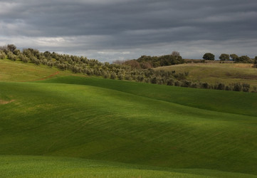 Similar image 8098474