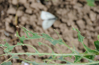 Similar image 8098475