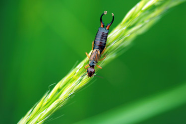 Similar image 8098481