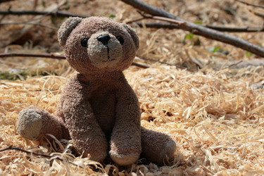 Similar image 8098482