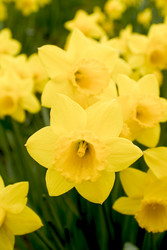 Similar image 8098485