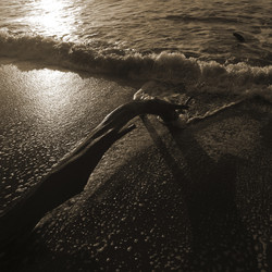 Similar image 8098491