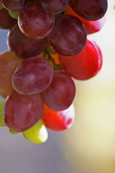 Similar image 8098496