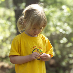 Similar image 8098508