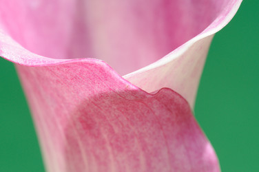 Similar image 8098511