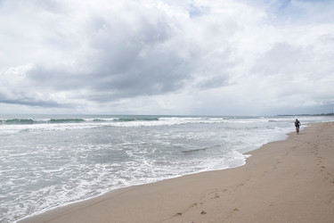 Similar image 8098513