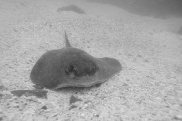 Similar image 8098515