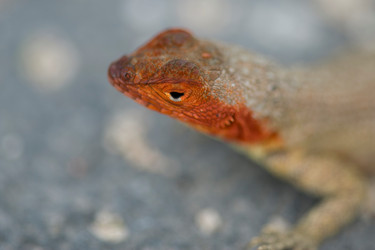 Similar image 8098516