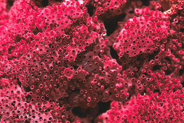 Similar image 8098522