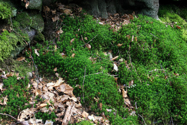 Similar image 8098535