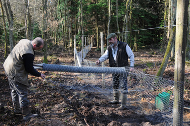 Similar image 8098537