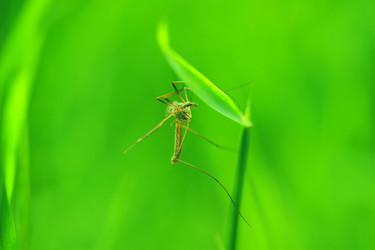 Similar image 8098555