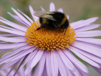 Similar image 8098556