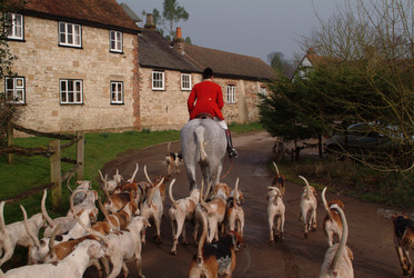 Similar image 8098566