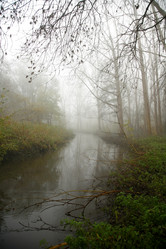 Similar image 8098567