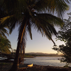 Similar image 8098573