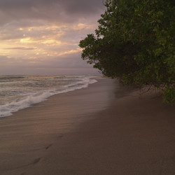 Similar image 8098574