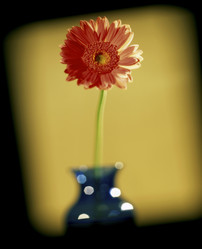 Similar image 8098576