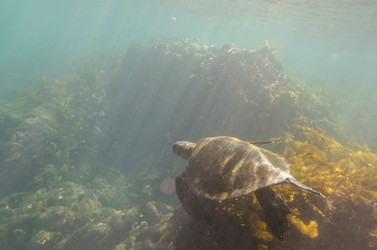 Similar image 8098593