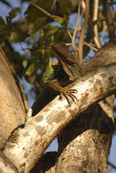 Similar image 8098596