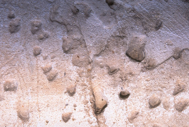 Similar image 8098598